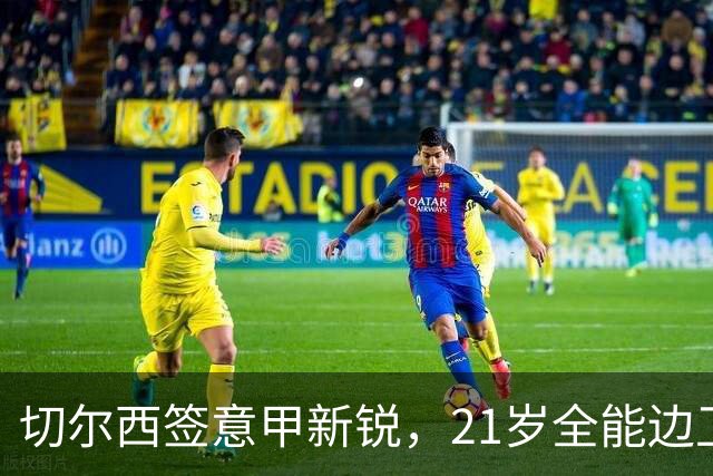 切尔西签意甲新锐，21岁全能边卫帕莱斯特拉加盟，七年长约锁核心