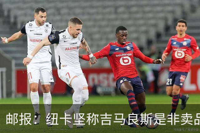 邮报：纽卡坚称吉马良斯是非卖品 阿森纳准备进行第二次报价